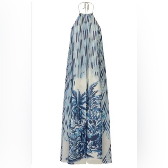 Sleeveless Maxi Dress In Blue And White Print - Picture 6 of 6